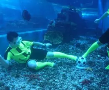 海底足球：一场不同寻常的比赛-WorldLiveBall